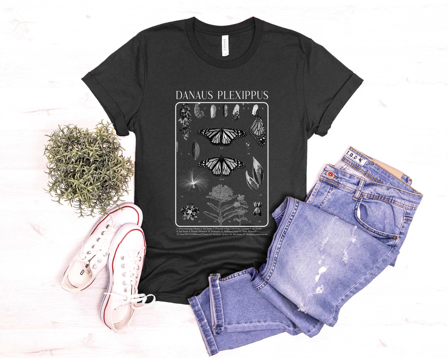 Monarch Butterfly, Danaus Plexippus, Tee, Nature lovers t shirt, Gardener's Gift, Environment, Wildflower, entomology, academia