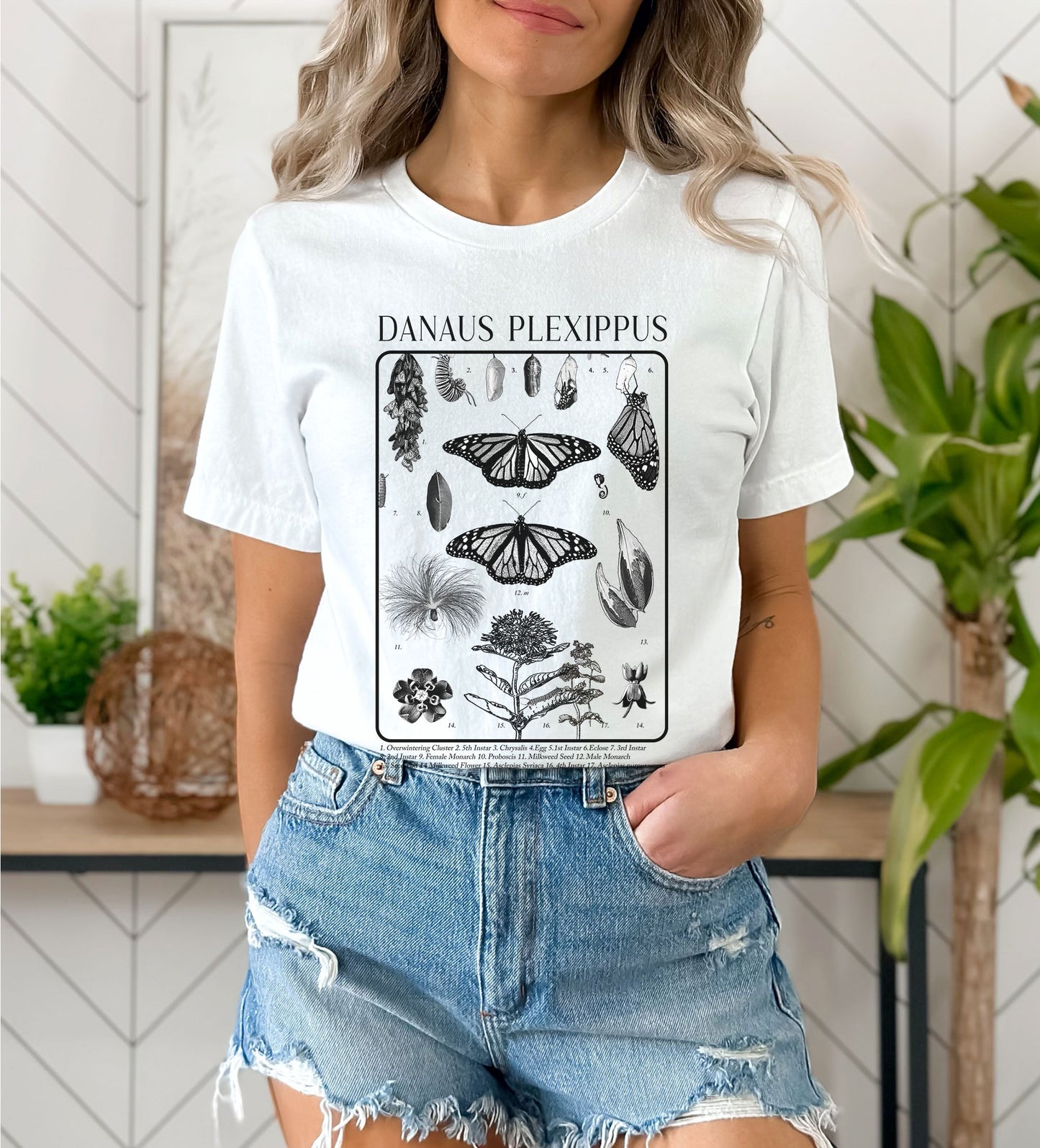 Monarch Butterfly, Danaus Plexippus, Tee, Nature lovers t shirt, Gardener's Gift, Environment, Wildflower, entomology, academia