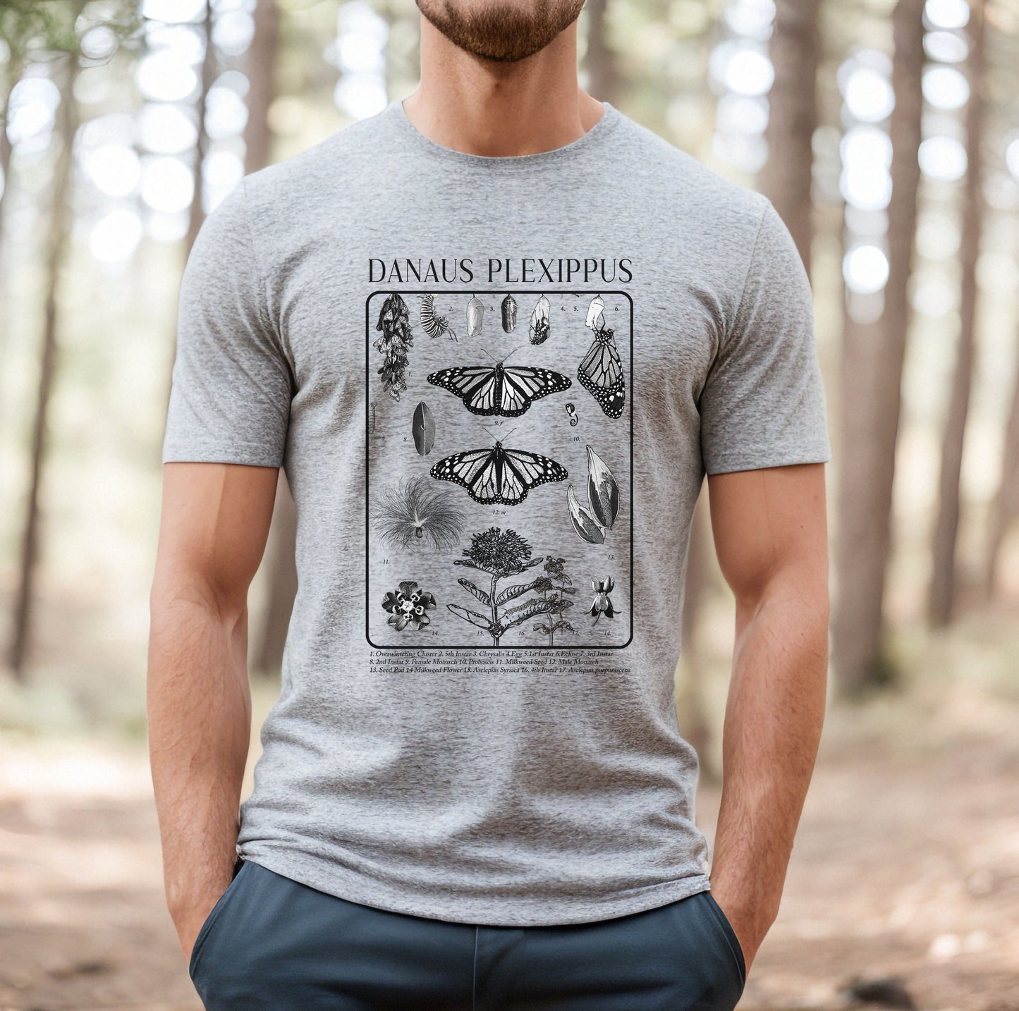 Monarch Butterfly, Danaus Plexippus, Tee, Nature lovers t shirt, Gardener's Gift, Environment, Wildflower, entomology, academia
