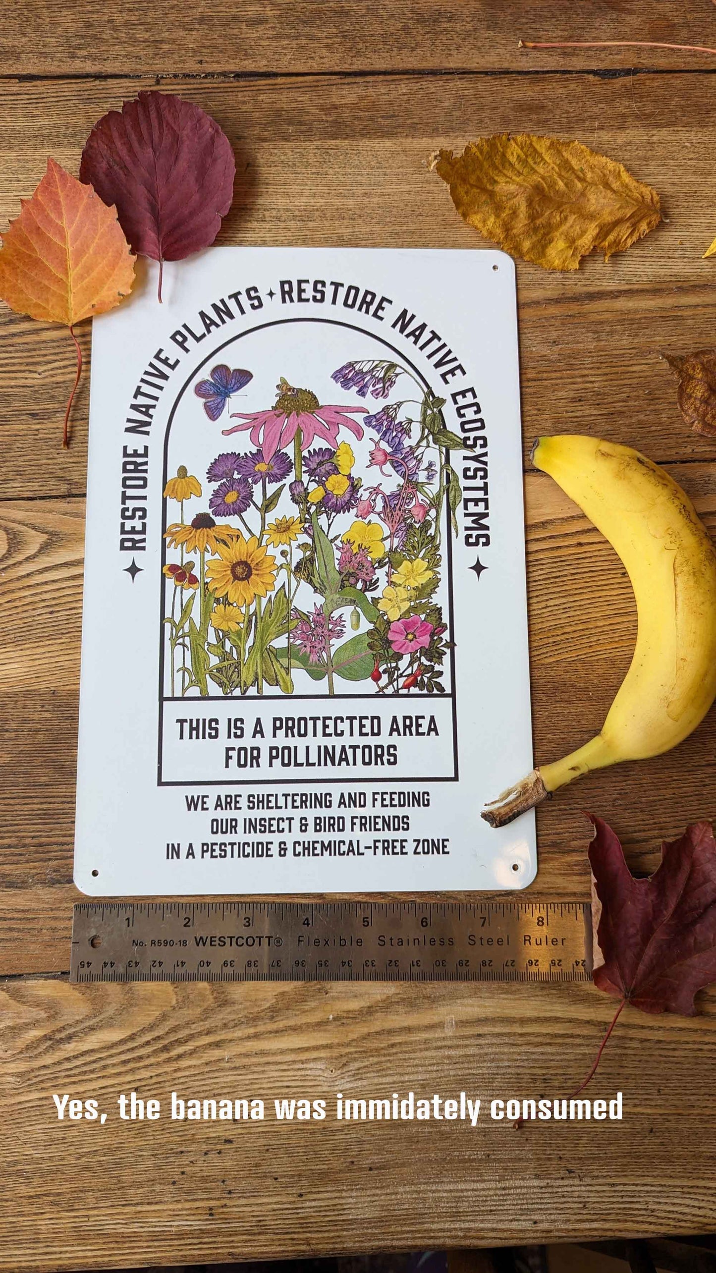 Native Plant Garden Sign; Made in USA Protect Pollinators, Conservation, Garden decor, Durable Aluminum,  7.9" x 11.8", Educational signage