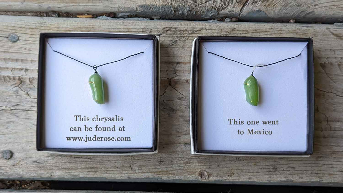 Glass and 24k gold chrysalis replica next to a real Monarch chrysalis, both in jewelry boxes
