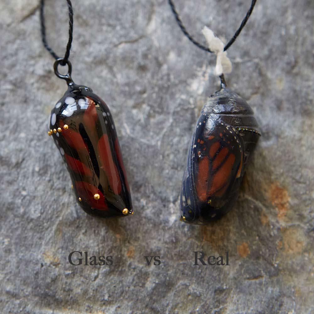 Almost-born Monarch chrysalis pendant