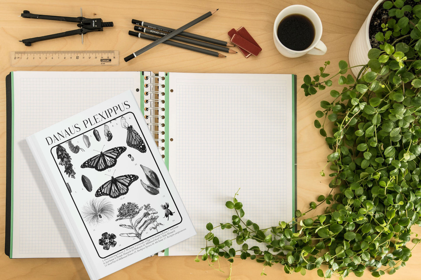 Monarch Butterfly Hardcover Journal, Monarch chrysalis, Danaus Plexippus, Gift for Dad, gift for nature lover, plant lover, entomologist