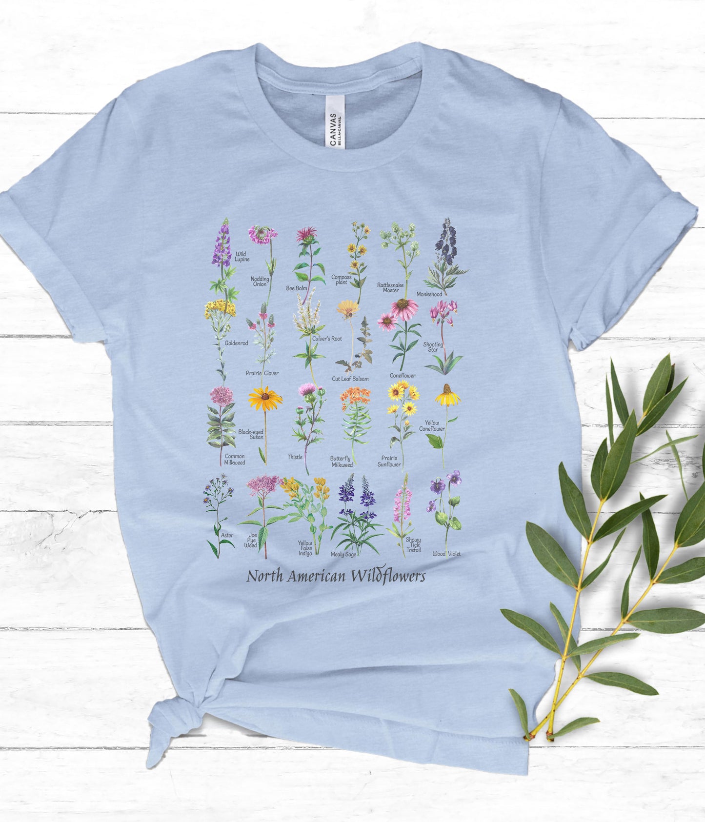 Native Wildflowers North America, Native plants t-shirt, Wildflower botanical chart hand-drawn flower conservation naturalist gardener gift