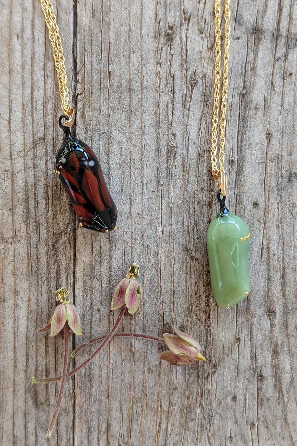 Monarch chrysalis jewelry. Monarch chrysalis pendants in glass and 24k gold on wood next to milkweed