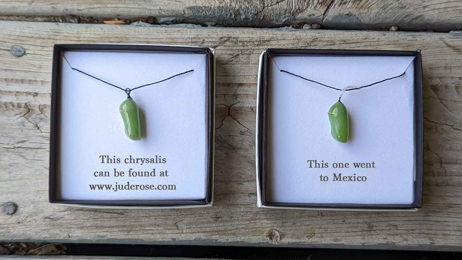 Glass and 24k gold chrysalis replica next to a real Monarch chrysalis, both in jewelry boxes